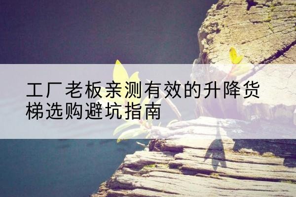 贾汪升降货梯怎么选-工厂老板亲测有效的升降货梯选购避坑指南