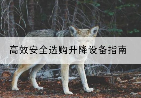 贾汪升降货梯厂家推荐-*安全选购升降设备指南