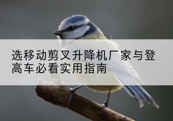 贾汪电动升降机厂家-选移动剪叉升降机厂家与登高车必看实用指南