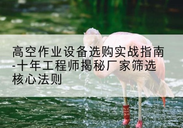贾汪剪叉式升降机厂家-高空作业设备选购实战指南-十年工程师揭秘厂家筛选核心法则