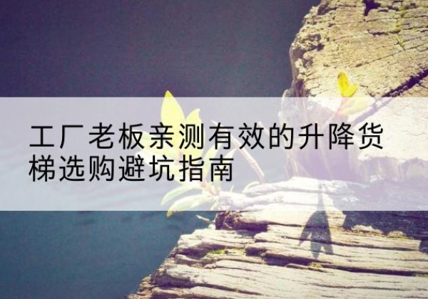 贾汪升降货梯怎么选-工厂老板亲测有效的升降货梯选购避坑指南